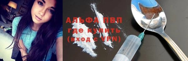 стафф Алексин
