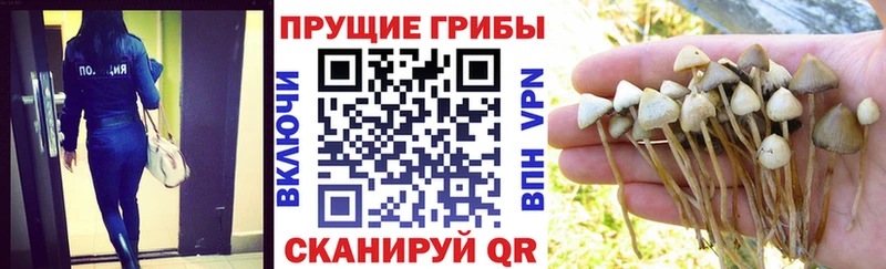 Псилоцибиновые грибы MAGIC MUSHROOMS  omg как зайти  Салехард 